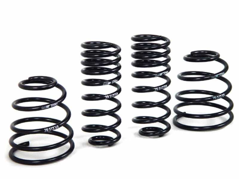 H&R Sport Springs | 29513