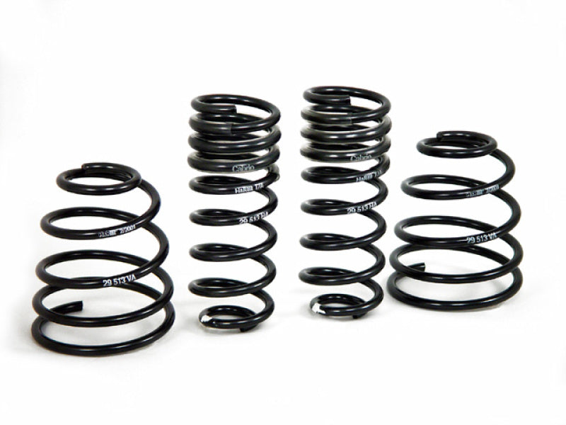 H&R Sport Springs | 29513-2
