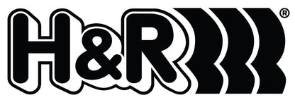 H&R Wheel Bolts 14 X 1.5 / Length 48mm / Audi Ball / Head 17mm - Set of 10