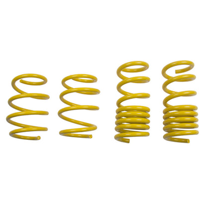 ST Lowering Springs Kit | 28230052