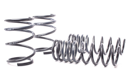 H&R Race Springs [50460-88]