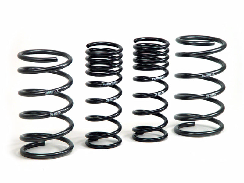 H&R Sport Springs | 51665