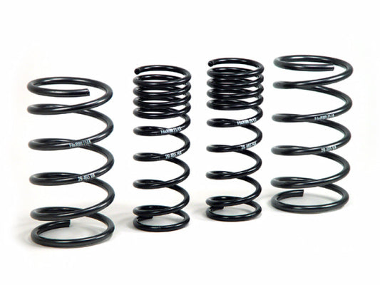 H&R Sport Springs | 51665