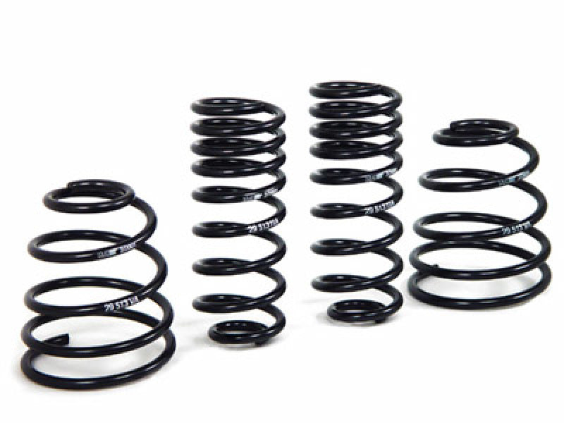 H&R Sport Springs | 29513