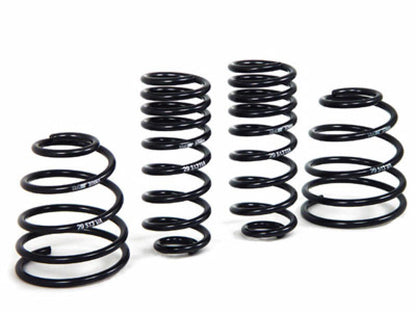 H&R Sport Springs | 29513