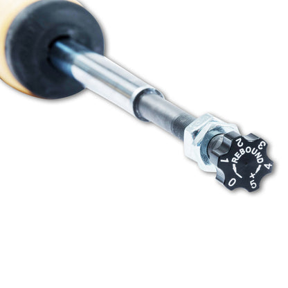 ST XTA Coilover Kit | 18250833